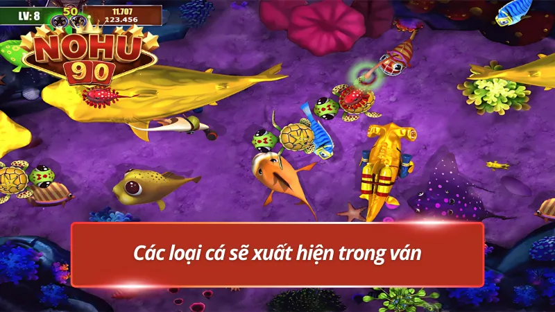Các loại cá hiện có trong FC bắn cá phát tài
