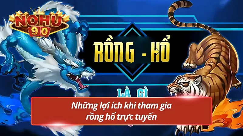 Những lợi ích nổi bật khi chơi rồng hổ